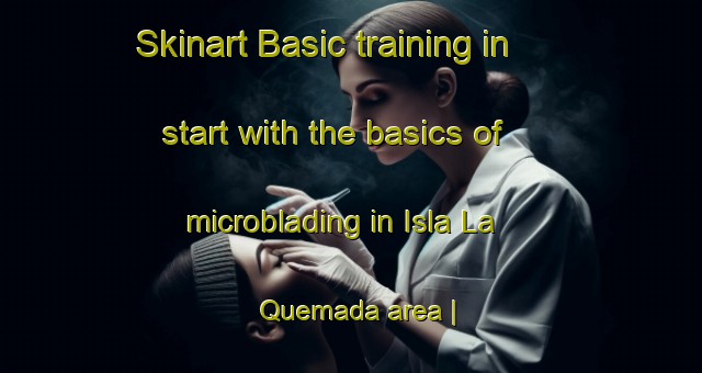 Skinart Basic training in start with the basics of microblading in Isla La Quemada area | MicrobladingTraining | MicrobladingClasses | SkinartTraining-Mexico